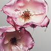 The Rose Balm
